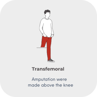 1 Amputation level - 3 transfemoral
