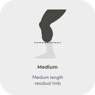 2 length res limb - 2 medium