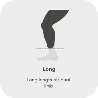 2 length res limb - 3 long