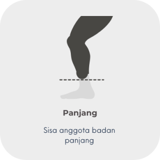 2 length res limb - 3 long MY